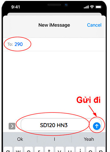 SD120 Viettel cu pháp Đăng Ký với 290