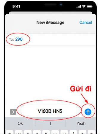 Gói cước V160B viettel